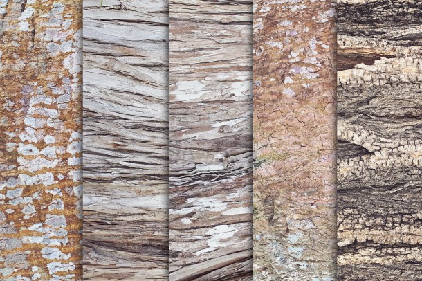 3 Tree Bark Textures Vol 1 x10 (1820)
